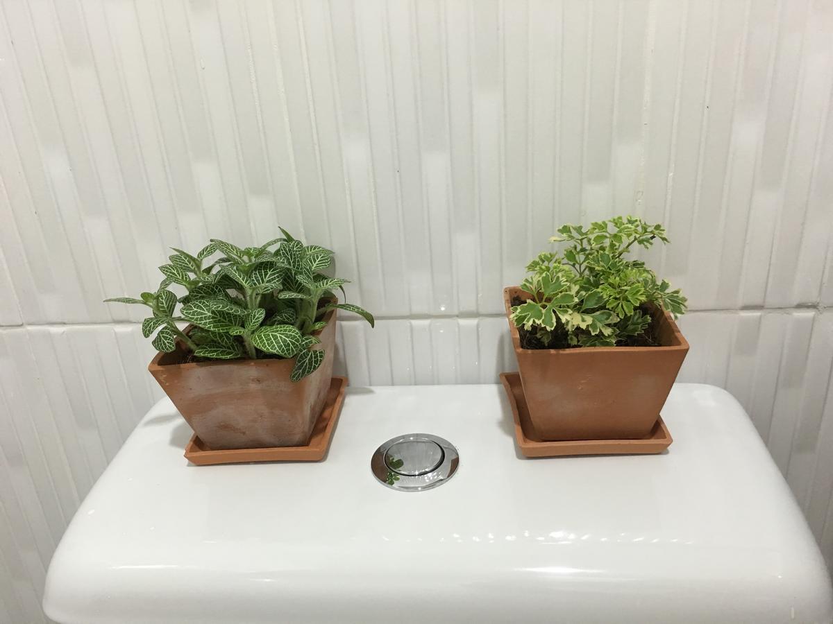 Wanmai Herb Garden 曼谷 外观 照片